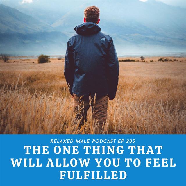 The One Thing That Will Allow You To Feel Fulfilled. - podcast episode cover
