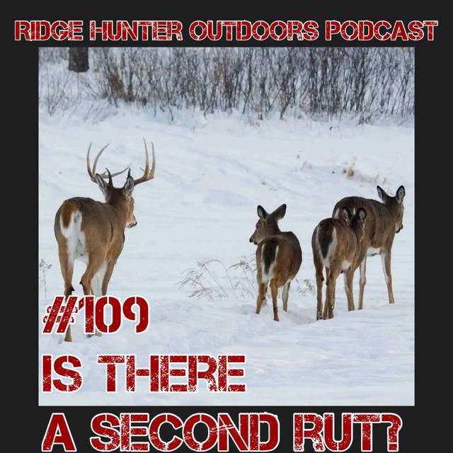 Is There A Second Rut? | RHO Podcast #109 - podcast episode cover