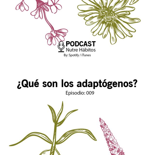009.¿Qué son los adaptógenos? - podcast episode cover