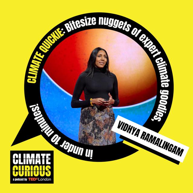 Why a violence prevention pro is turning her attention to climate misinformation - podcast episode cover