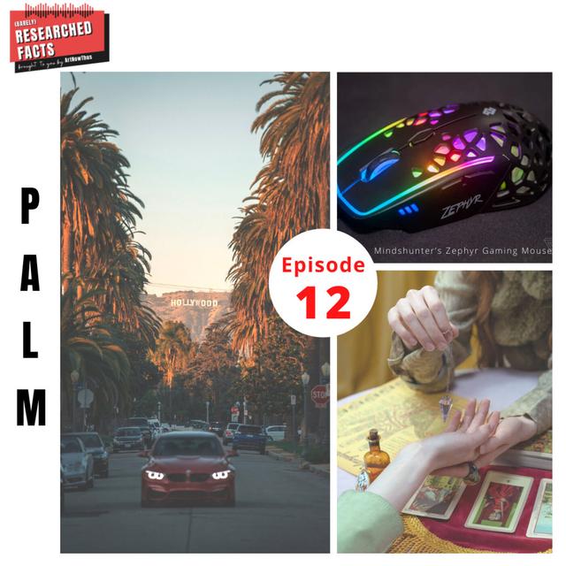 BRF12: "Palm" - podcast episode cover
