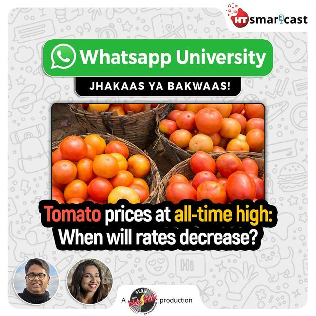Tomato prices at all time high: when will rates decrease? - podcast episode cover