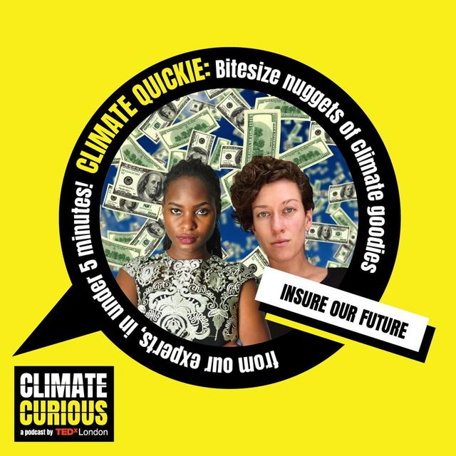 Why the insurance industry could be the key to ending fossil fuels - podcast episode cover