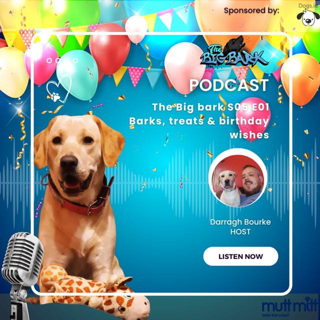 The Big Bark - S04E16 Episode #76 - Barks, Treats & birthday wishes - podcast episode cover