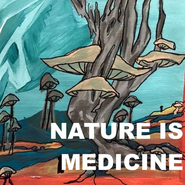 Nature IS Medicine - The Part 2 I Promised! - podcast episode cover