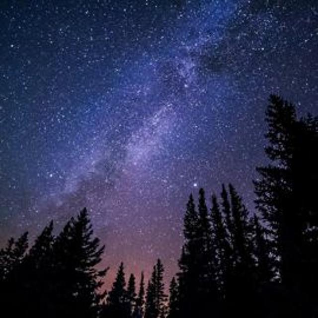 Are atoms, bacteria and plants conscious? - podcast episode cover