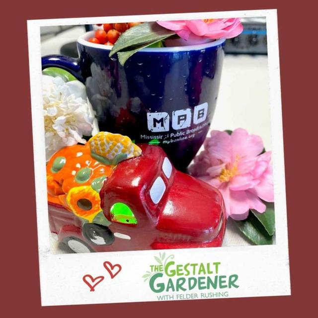 The Gestalt Gardener | Gift from Listener - podcast episode cover