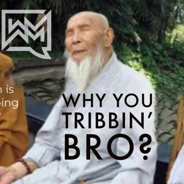 Why You Tribbin’ Bro? - podcast episode cover