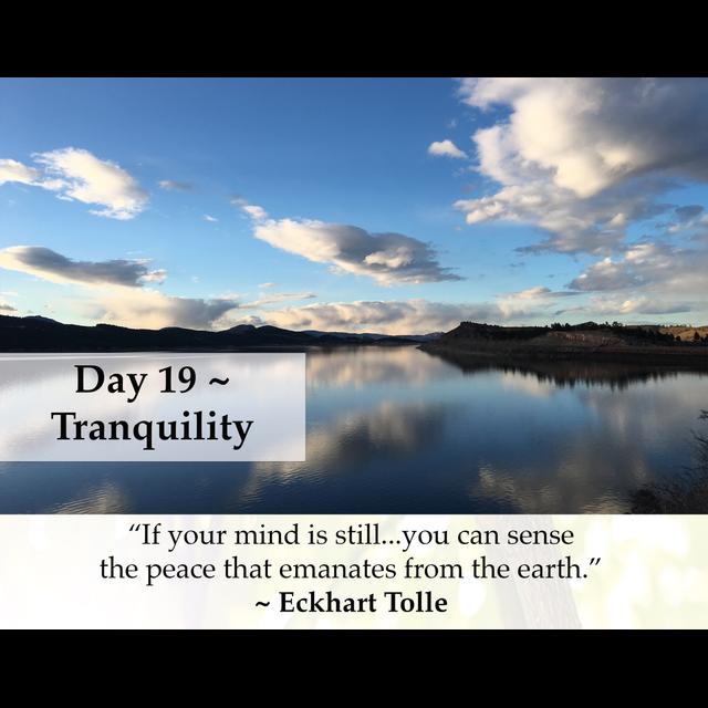 MZD - Ep 69 Tranquility - podcast episode cover