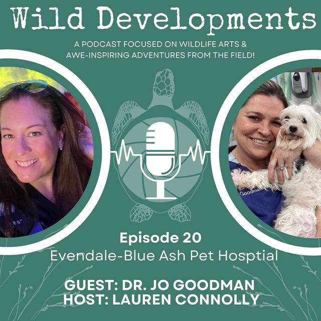 Evendale-Blue Ash Pet Hospital - podcast episode cover