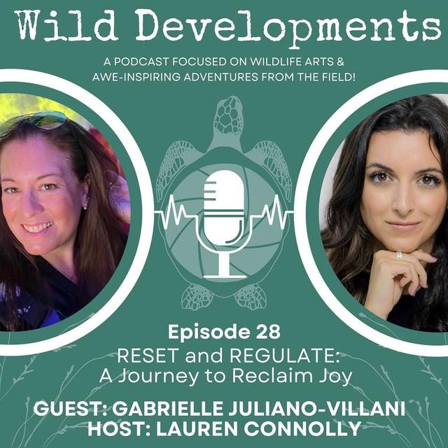RESET and REGULATE: A Journey to Reclaim Joy - podcast episode cover