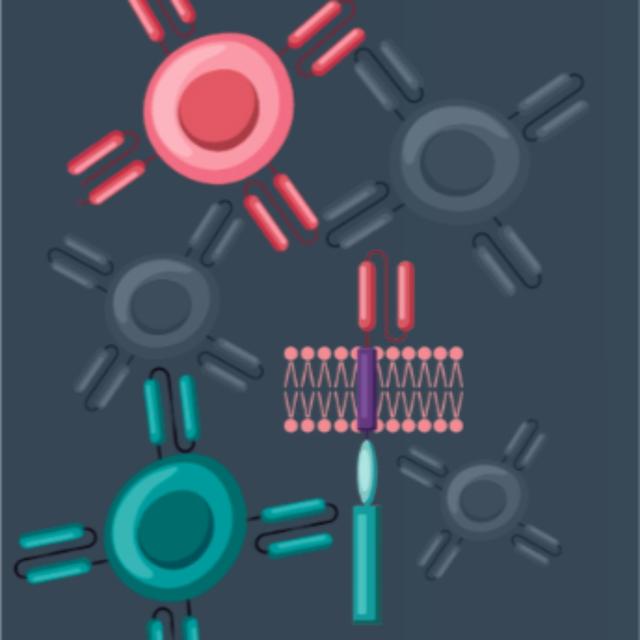 Talking Techniques | CAR-T and CAR-NK cell therapies - podcast episode cover