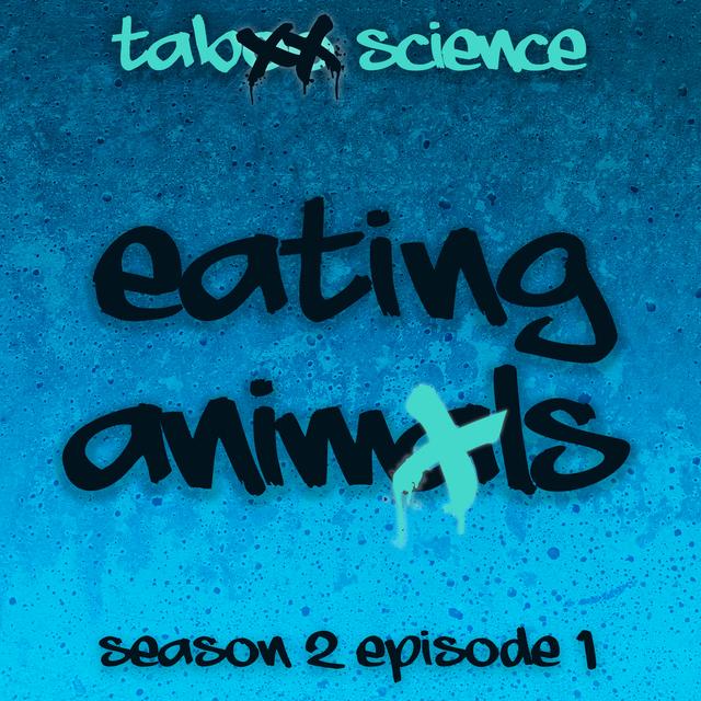 Eating Animals (with Dr. Melanie Joy) - podcast episode cover