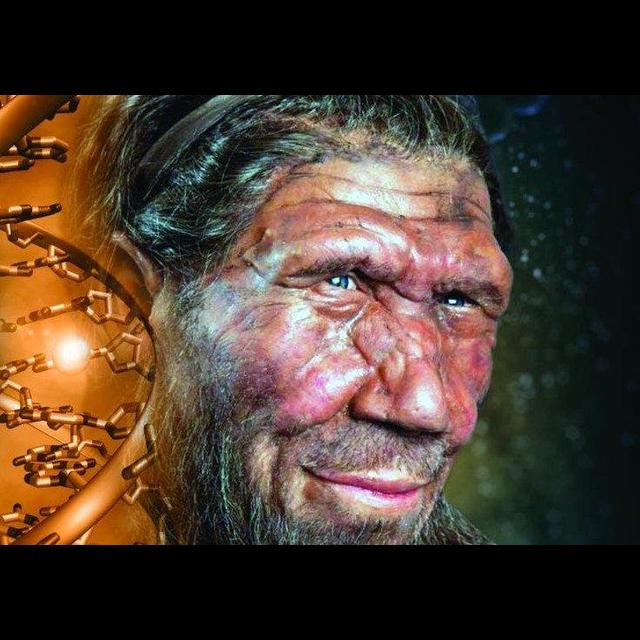 Neandertal Face Shape Was All Over the Air - podcast episode cover
