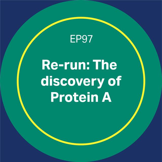 97. Re-run: The discovery of Protein A - podcast episode cover