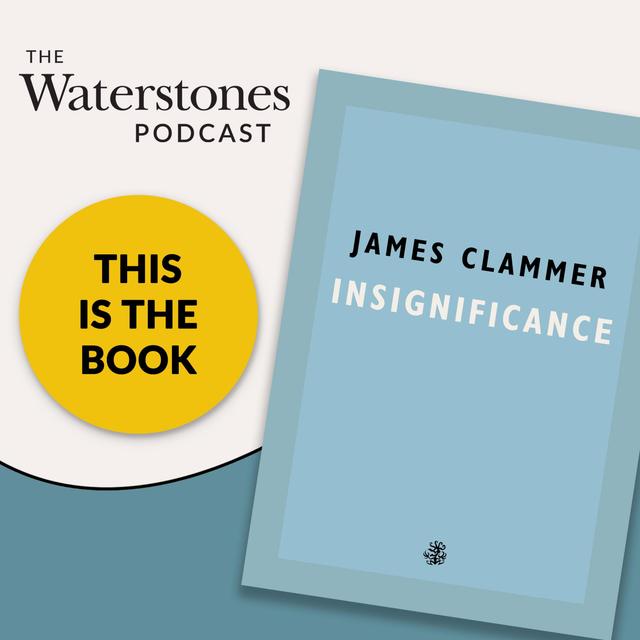 This Is The Book: Insignificance - podcast episode cover