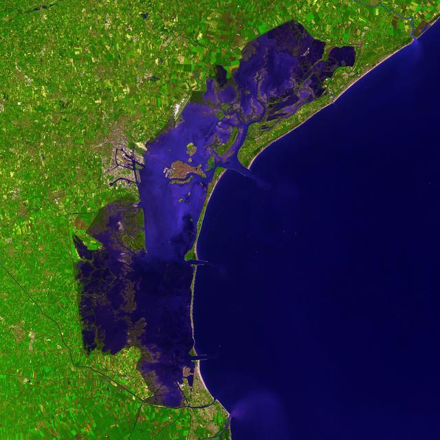 PODCAST: A Sense of Place digs into the Venetian lagoon - podcast episode cover