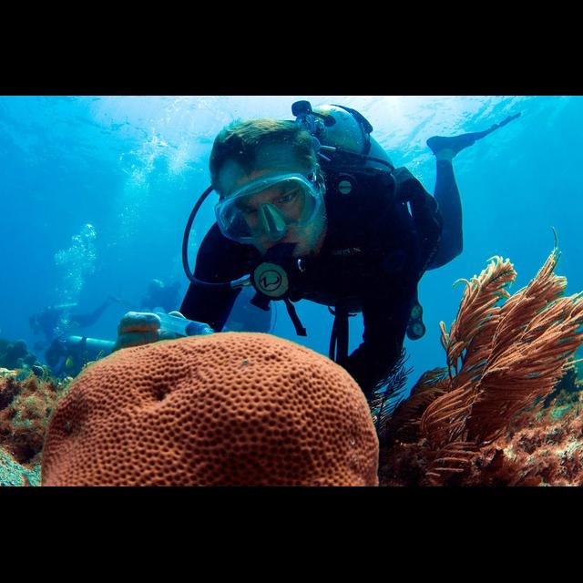Sharkfest w/Dr Mike Heithaus - podcast episode cover