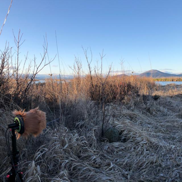 Episode 71: Ahjumawi Lava Springs State Park- Calm to Windy Morning - podcast episode cover