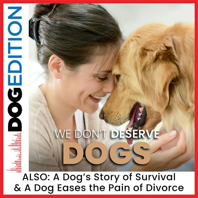 A Dog’s Story of Survival | We Don’t Deserve Dogs | A Dog Eases the Pain of Divorce | Dog Edition #14 - podcast episode cover
