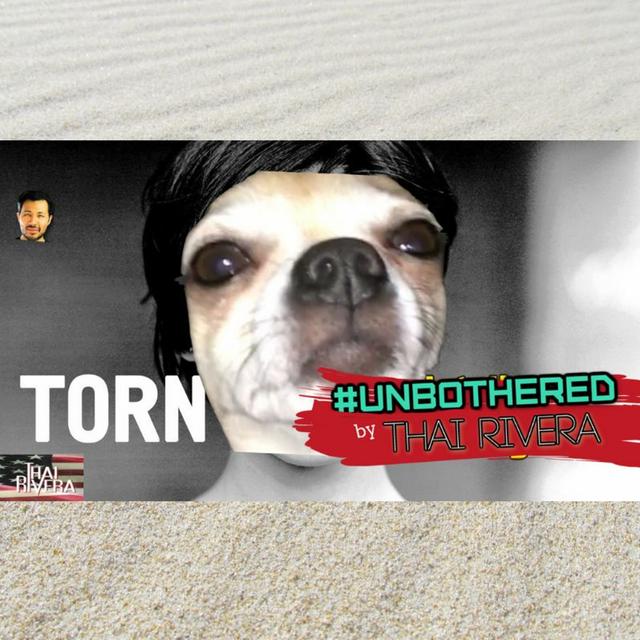 Torn ~ Unbothered by Thai Rivera - podcast episode cover