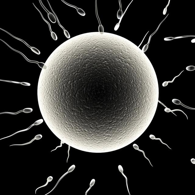 The Evolution of Love and Sex with Dan Savage - podcast episode cover