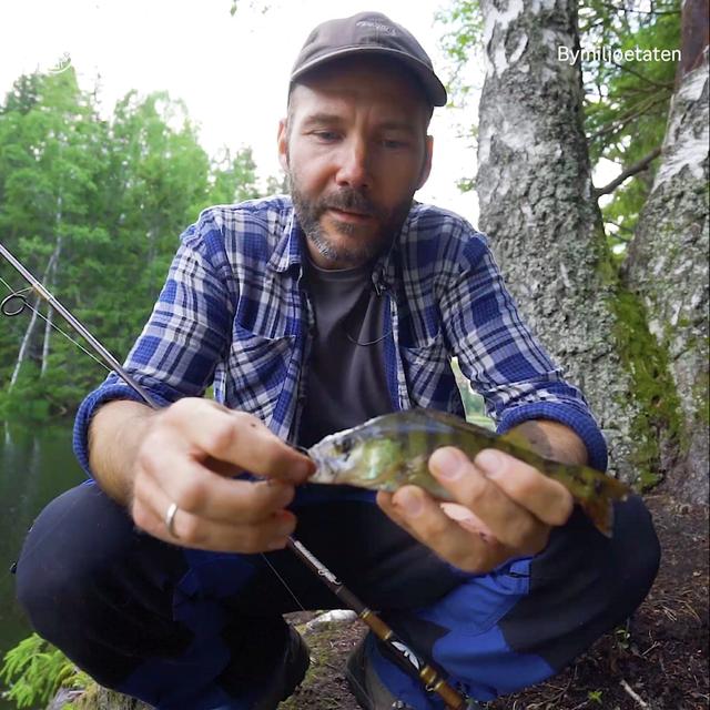 Fiske og natur langs Akerselva med avdelingsdirektør Terje - podcast episode cover
