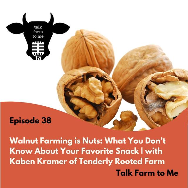 Walnut Farming is Nuts: What You Don't Know About Your Favorite Snack -- with Kaben Kramer of Tenderly Rooted - podcast episode cover