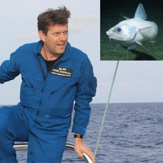 Deep Sea Explorer Alan Jamieson - podcast episode cover