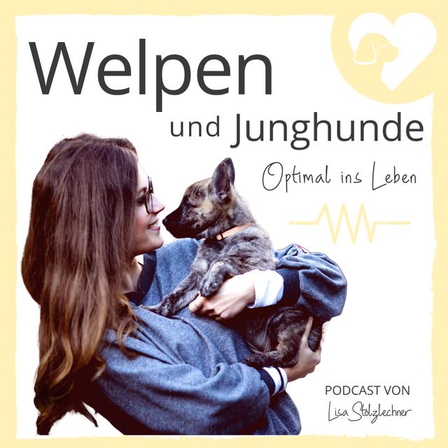 Welpenstudie - Einblicke in meine Masterarbeit - podcast episode cover