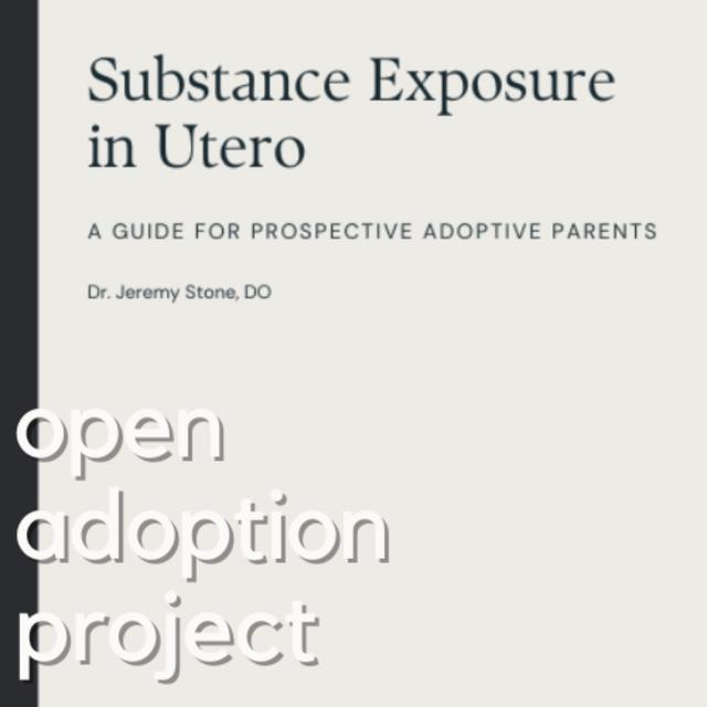 Substance Exposure in Utero: A Guide For Prospective Adoptive Parents - podcast episode cover