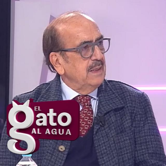 El Gato al Agua | 08/01/25 - podcast episode cover