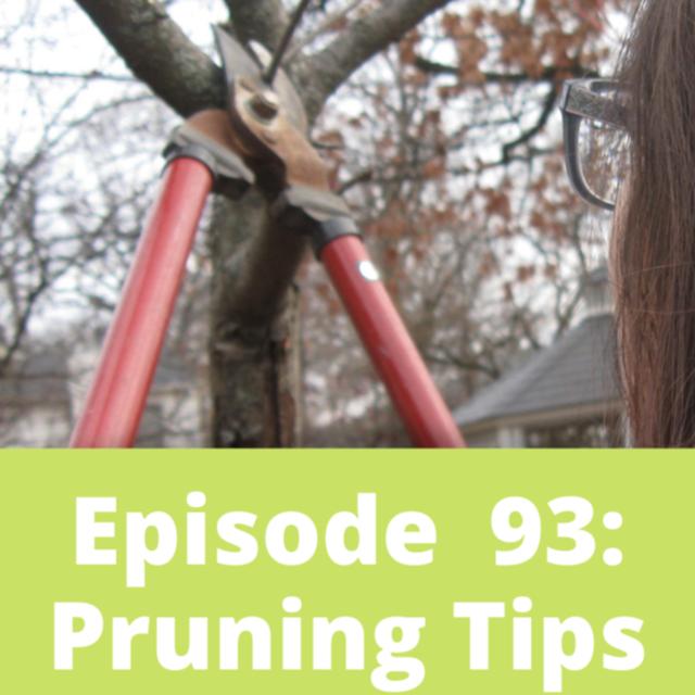 Pruning Tips - podcast episode cover