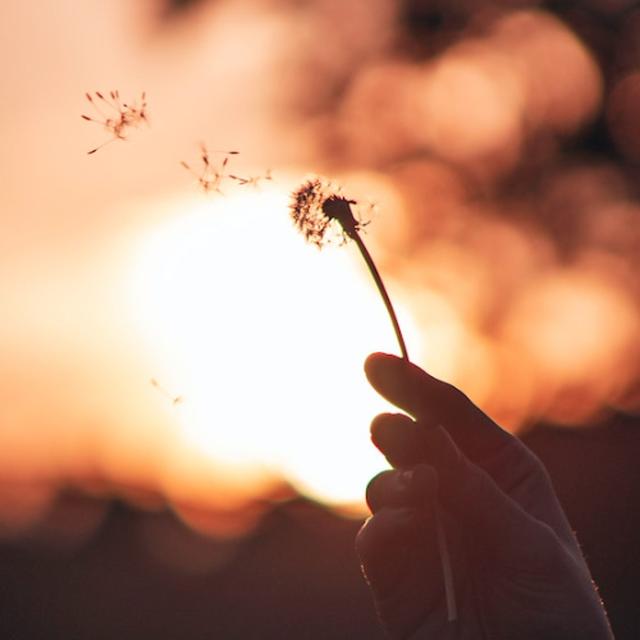 "Attending to our Sprouts of Change," by Mark Pratt-Russum - podcast episode cover