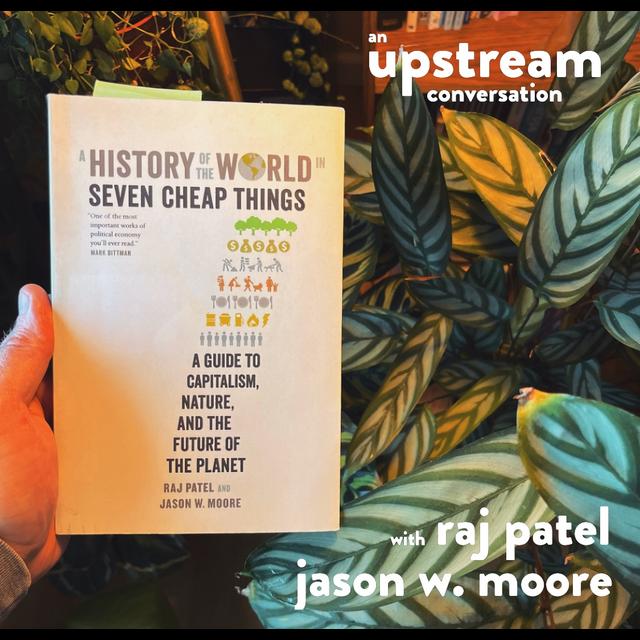 A History of the World in Seven Cheap Things with Raj Patel and Jason W. Moore - podcast episode cover