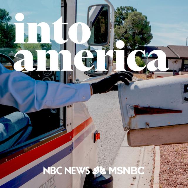 Into Delivering an Election - podcast episode cover