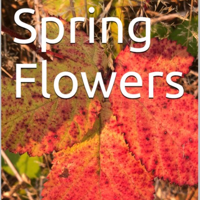 Spring Flowers Volume 121 Colourful by Daniel Lucas - podcast episode cover