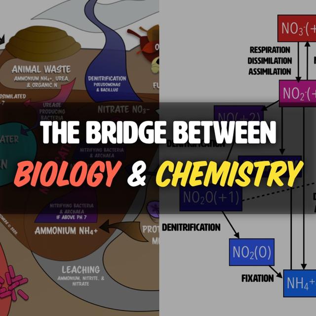 The Bridge between Soil Chemistry and Biology [FULL WEBINAR] - podcast episode cover