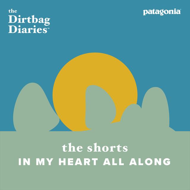 The Shorts--In My Heart All Along - podcast episode cover