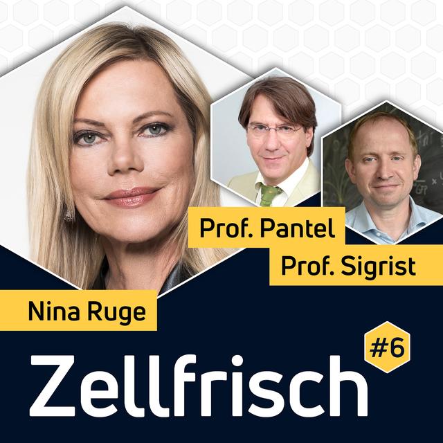 #06 Das Neueste aus der Demenzforschung - podcast episode cover