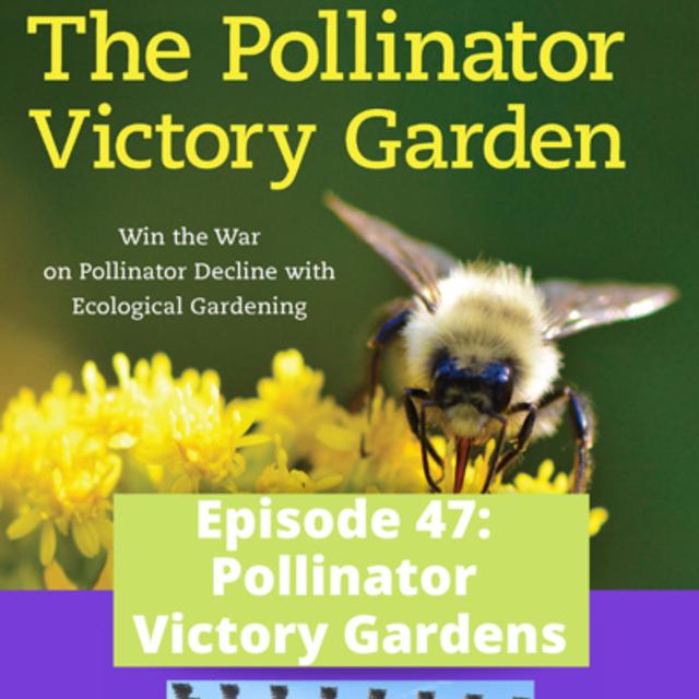 Pollinator Victory Gardens - podcast episode cover