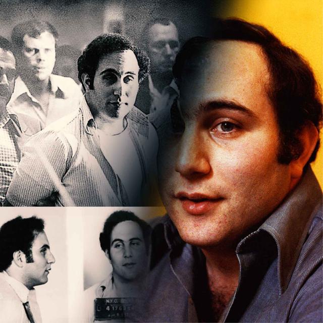David Berkowitz, le fils de Sam - podcast episode cover