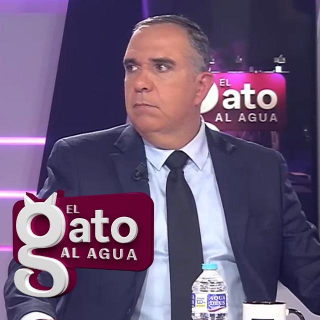 El Gato al Agua | 08/04/25 - podcast episode cover