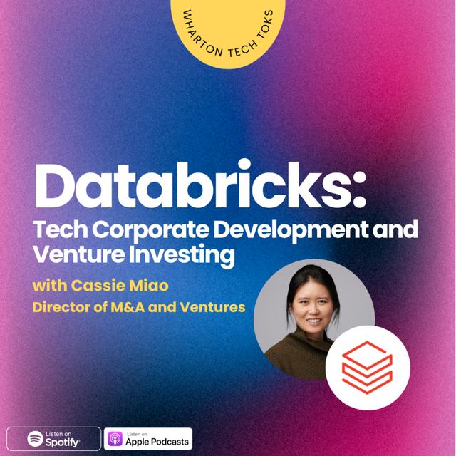 Databricks: Tech Corporate Development and Venture Investing - podcast episode cover