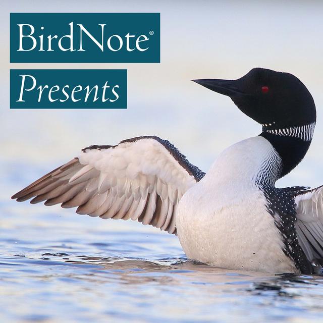 Introducing BirdNote Presents - podcast episode cover