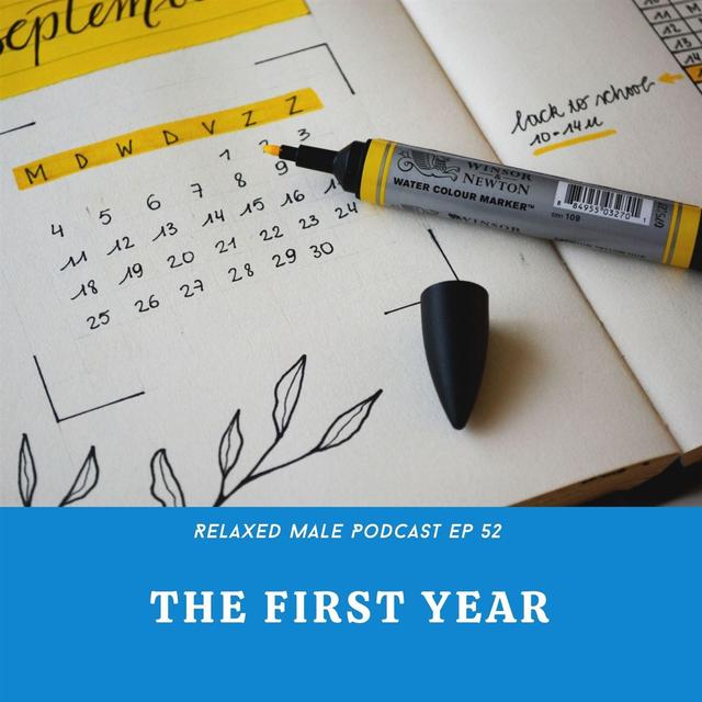 The First Year - podcast episode cover