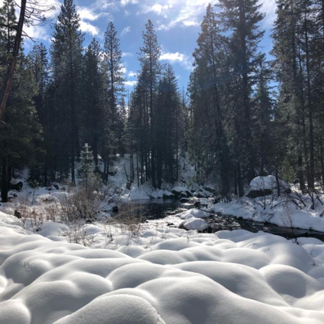 Bonus! Snowshoeing on the McCloud River Trail - podcast episode cover