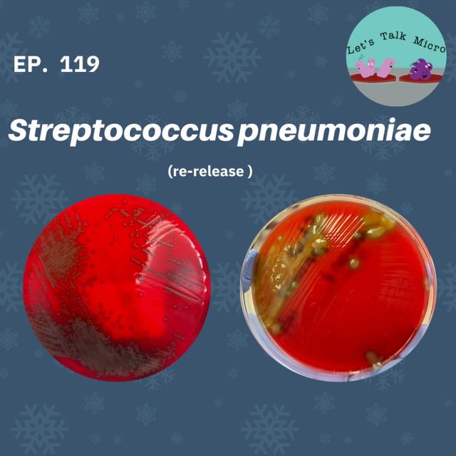 119: Streptococcus pneumoniae (re-release) - podcast episode cover