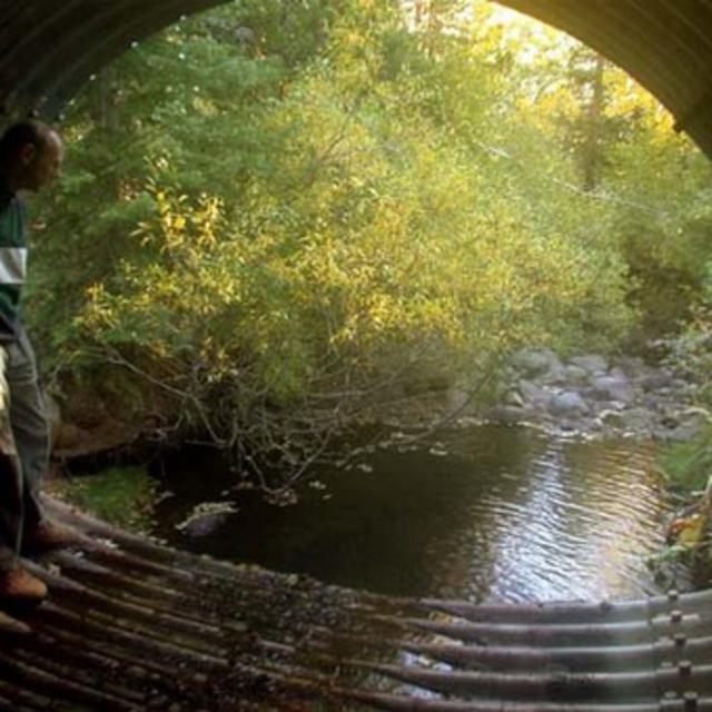 Watersheds and climate change - podcast episode cover
