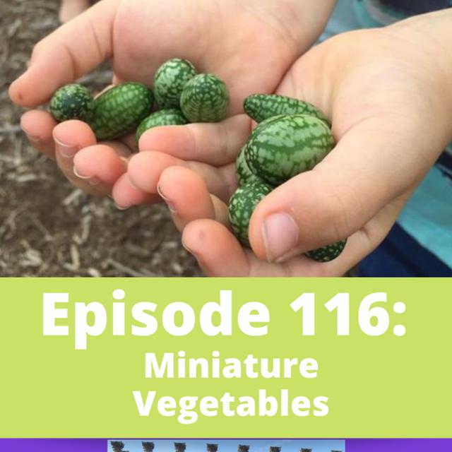 Miniature Vegetables - podcast episode cover